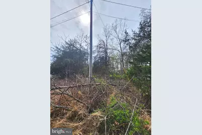 Lot 25 Shumac Trail, Augusta, WV 26704 - Photo 2