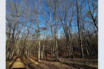 Crossings View Rd Road, Paw Paw, WV 25434 - Photo 2