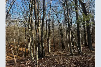 Crossings View Rd Road, Paw Paw, WV 25434 - Photo 8