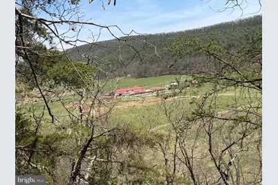 217 Trapper Lane, Augusta, WV 26704 - Photo 78