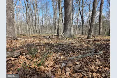 217 Trapper Lane, Augusta, WV 26704 - Photo 80