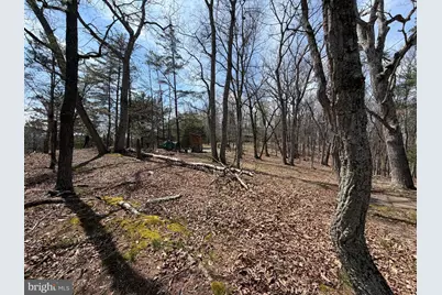 217 Trapper Lane, Augusta, WV 26704 - Photo 96