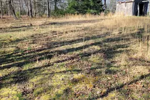 1957 Milk Rd, Yellow Spring, WV 26865 - Photo 6