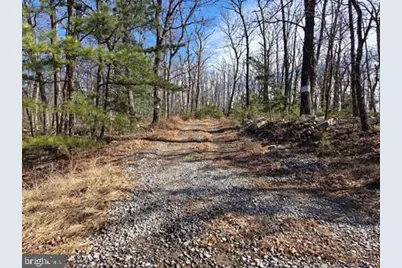 942 Wild Boar Road, Augusta, WV 26704 - Photo 10