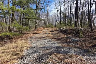 942 Wild Boar Rd, Augusta, WV 26704 - Photo 10