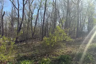 [Address not provided], Augusta, WV 26704 - Photo 22
