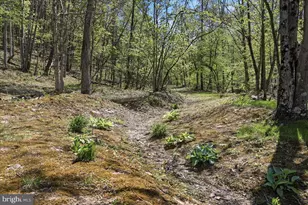 3837 Graces Cabin Rd, Springfield, WV 26763 - Photo 32