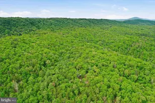 40 4 Ac Dave Moreland Rd, Slanesville, WV 25444 - Photo 32