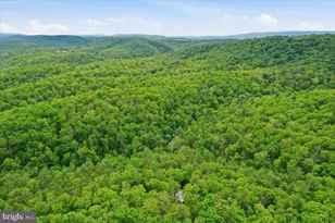 40 4 Ac Dave Moreland Rd, Slanesville, WV 25444 - Photo 34