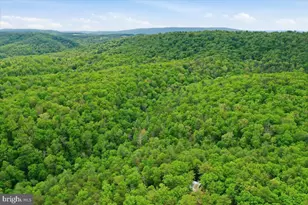 40 4 Ac Dave Moreland Rd, Slanesville, WV 25444 - Photo 42