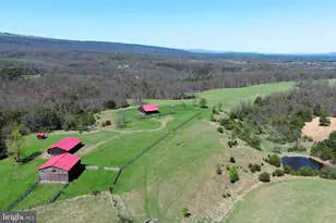 453 Wheaton Dr, Purgitsville, WV 26852 - Photo 106