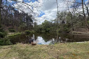 453 Wheaton Dr, Purgitsville, WV 26852 - Photo 88