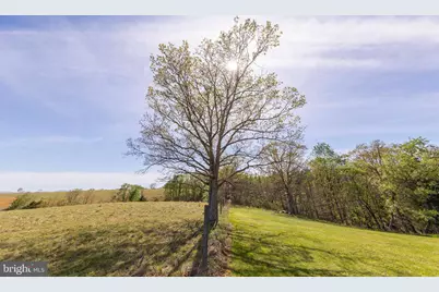 453 Wheaton Drive, Purgitsville, WV 26852 - Photo 82
