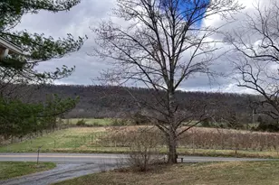 2879 Christian Church Rd, High View, WV 26808 - Photo 72