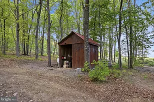 330 Sideling Mtn Dr, Slanesville, WV 25444 - Photo 88