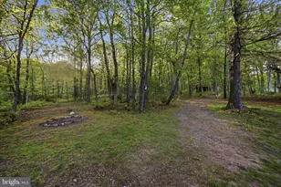 330 Sideling Mtn Dr, Slanesville, WV 25444 - Photo 86