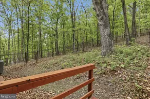 355 Hemlock Ct, Paw Paw, WV 25434 - Photo 42