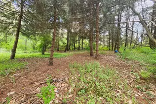 154-158 Journeys End Ln, Augusta, WV 26704 - Photo 20