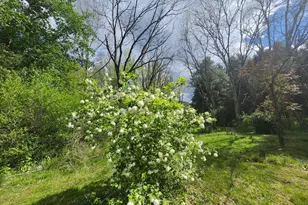 154-158 Journeys End Ln, Augusta, WV 26704 - Photo 22