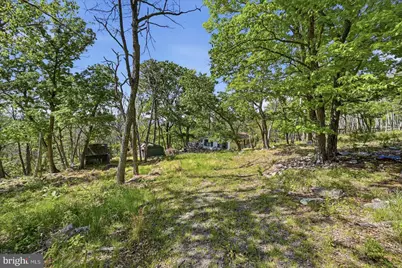 406 Red Fern Lane, Augusta, WV 26704 - Photo 2