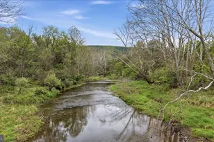 216 Cedar River Ln, Augusta, WV 26704 - Photo 24
