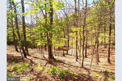 Lot 120 Crossings View Road, Paw Paw, WV 25434 - Photo 4