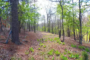 Lot 120 Crossings View Rd, Paw Paw, WV 25434 - Photo 1