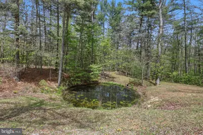839 Lake Ferndale, Springfield, WV 26763 - Photo 56