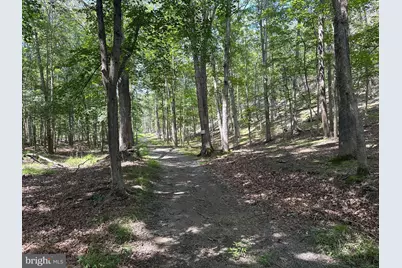 6.56 Ac Residue Hamilton Estates, Romney, WV 26757 - Photo 20