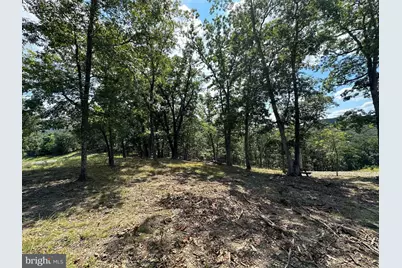 6.56 Ac Residue Hamilton Estates, Romney, WV 26757 - Photo 14