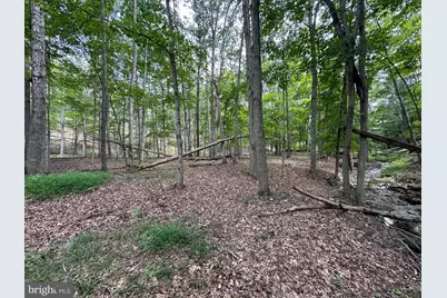 6.56 Ac Residue Hamilton Estates, Romney, WV 26757 - Photo 26