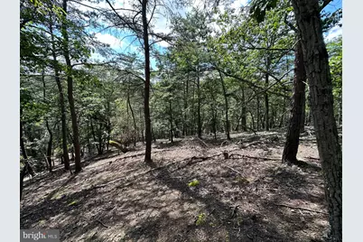 6.56 Ac Residue Hamilton Estates, Romney, WV 26757 - Photo 18