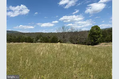 8.25 Ac Walnut Tree Lane, Paw Paw, WV 25434 - Photo 14