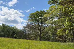 2894 Old Jersey Mountain Rd, Romney, WV 26757 - Photo 66