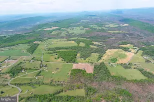 2894 Old Jersey Mountain Rd, Romney, WV 26757 - Photo 116