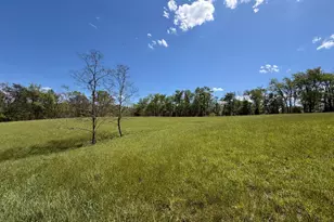 2894 Old Jersey Mountain Rd, Romney, WV 26757 - Photo 64
