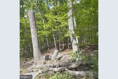 11 Haines Drive, Capon Bridge, WV 26711 - Photo 8