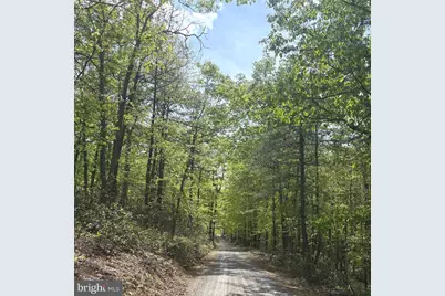 11 Haines Drive, Capon Bridge, WV 26711 - Photo 10