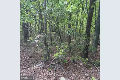 11 Haines Drive, Capon Bridge, WV 26711 - Photo 6