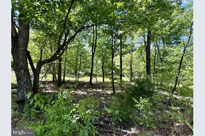 Lot(S) 113 and 115 River Ridge Sd, Yellow Spring, WV 26865 - Photo 22