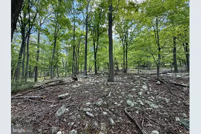 Lot(S) 113 and 115 River Ridge Sd, Yellow Spring, WV 26865 - Photo 20