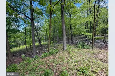 Lot(S) 113 and 115 River Ridge Sd, Yellow Spring, WV 26865 - Photo 12