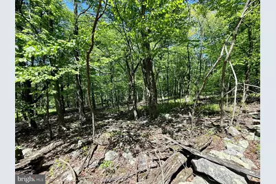 Lot(S) 113 and 115 River Ridge Sd, Yellow Spring, WV 26865 - Photo 24