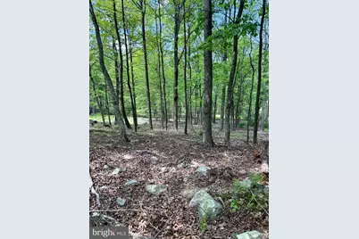 Lot(S) 113 and 115 River Ridge Sd, Yellow Spring, WV 26865 - Photo 18