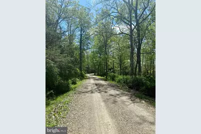 Lot(S) 113 and 115 River Ridge Sd, Yellow Spring, WV 26865 - Photo 4