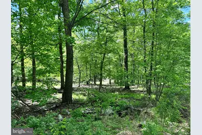 Lot(S) 113 and 115 River Ridge Sd, Yellow Spring, WV 26865 - Photo 10