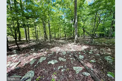 Lot(S) 113 and 115 River Ridge Sd, Yellow Spring, WV 26865 - Photo 16