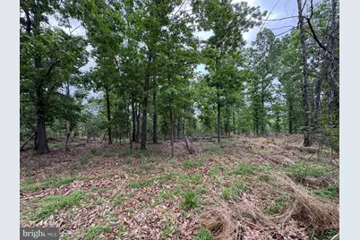40.15 Ac Middle Ridge Road, Romney, WV 26757 - Photo 28