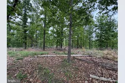 40.15 Ac Middle Ridge Road, Romney, WV 26757 - Photo 20
