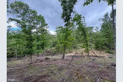 40.15 Ac Middle Ridge Road, Romney, WV 26757 - Photo 8